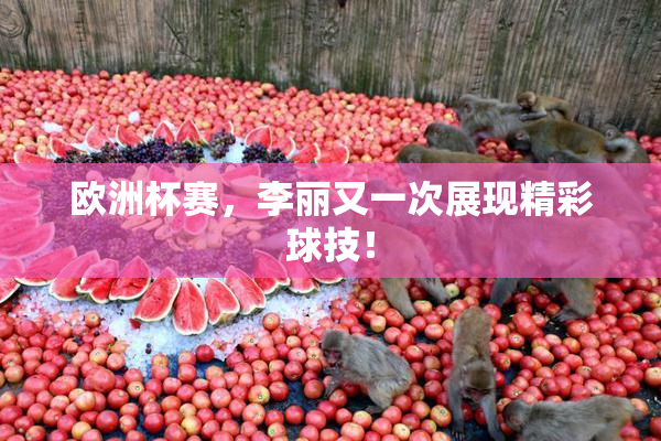 欧洲杯赛，李丽又一次展现精彩球技！