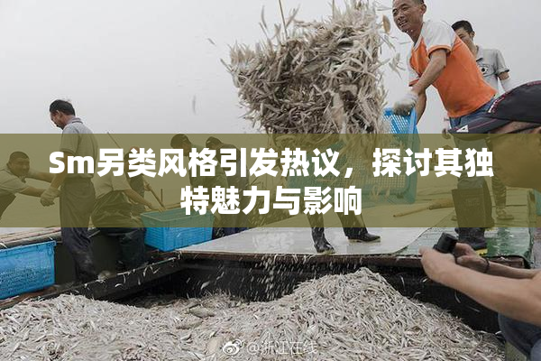 Sm另类风格引发热议，探讨其独特魅力与影响