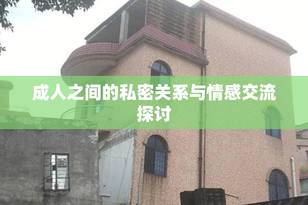 成人之间的私密关系与情感交流探讨