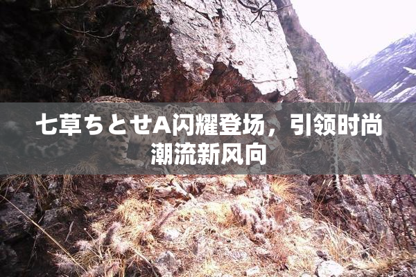 七草ちとせA闪耀登场，引领时尚潮流新风向