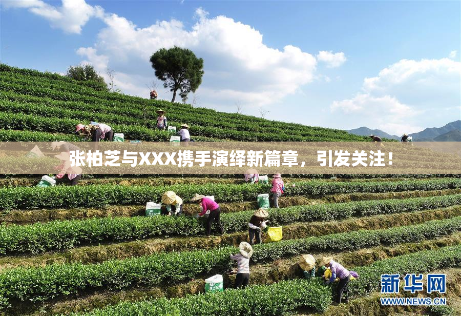张柏芝与XXX携手演绎新篇章，引发关注！