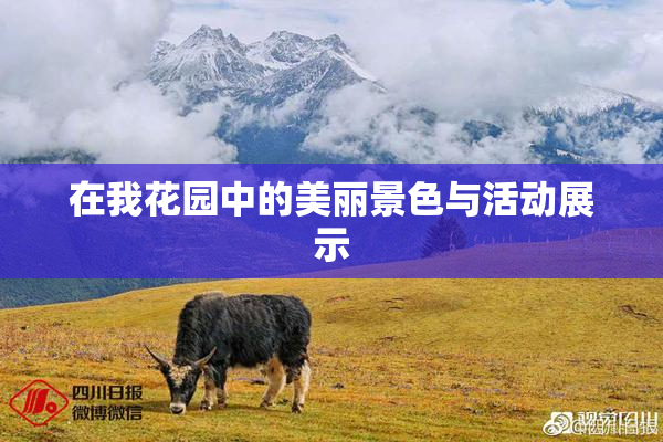 在我花园中的美丽景色与活动展示