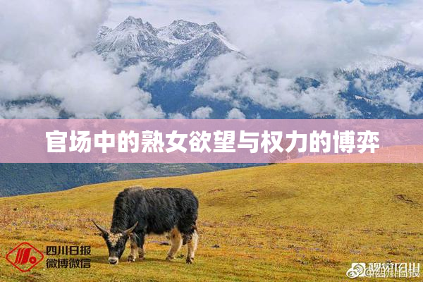 官场中的熟女欲望与权力的博弈