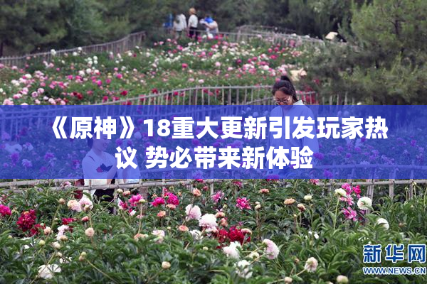 《原神》18重大更新引发玩家热议 势必带来新体验