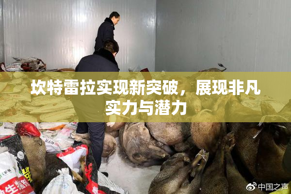 坎特雷拉实现新突破，展现非凡实力与潜力