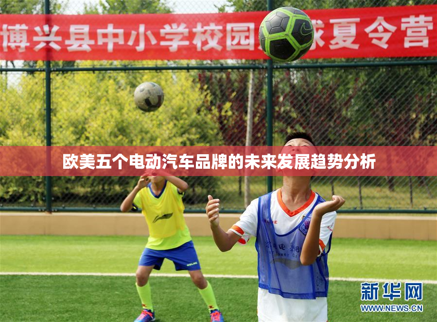 欧美五个电动汽车品牌的未来发展趋势分析