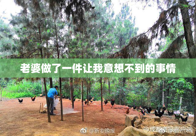 老婆做了一件让我意想不到的事情