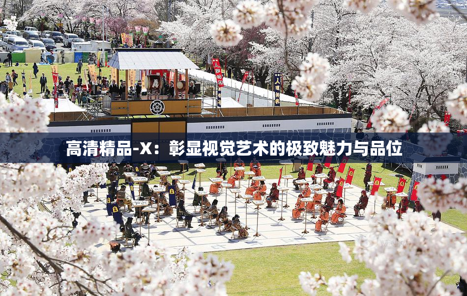 高清精品-X：彰显视觉艺术的极致魅力与品位
