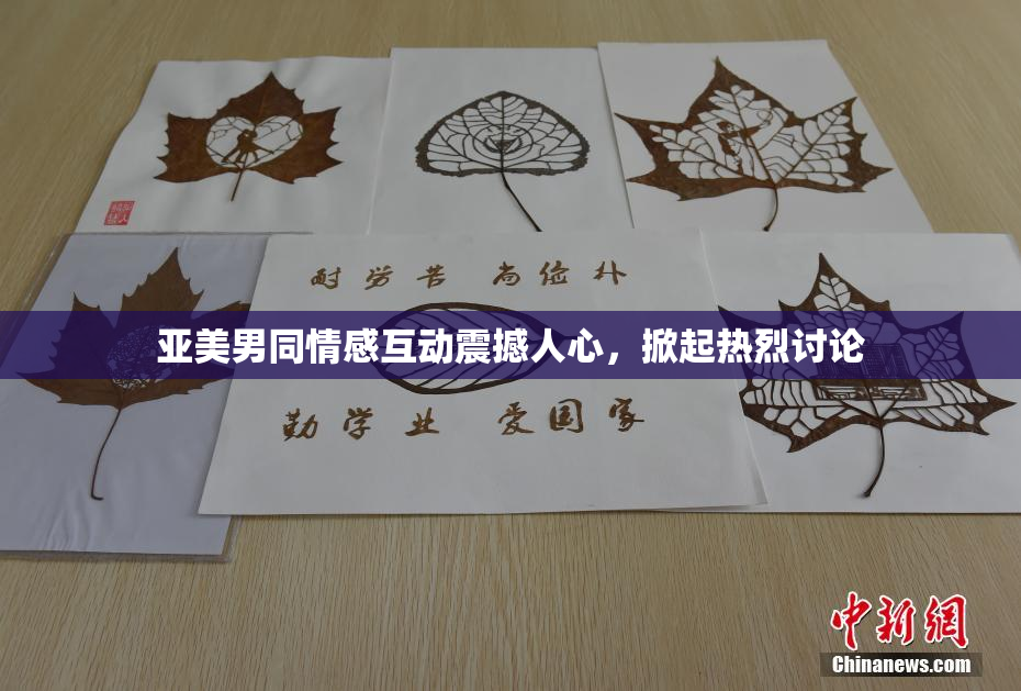 亚美男同情感互动震撼人心，掀起热烈讨论