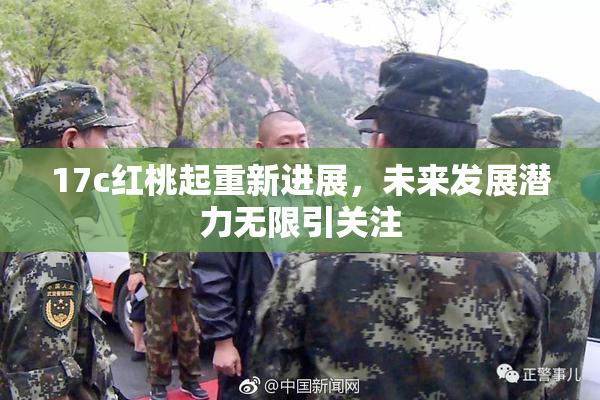17c红桃起重新进展，未来发展潜力无限引关注