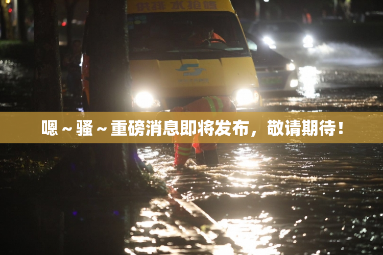 嗯～骚～重磅消息即将发布，敬请期待！