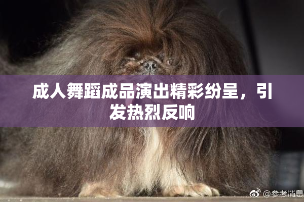 成人舞蹈成品演出精彩纷呈，引发热烈反响