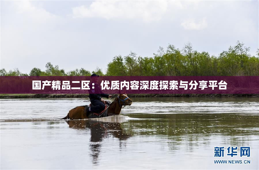 国产精品二区：优质内容深度探索与分享平台