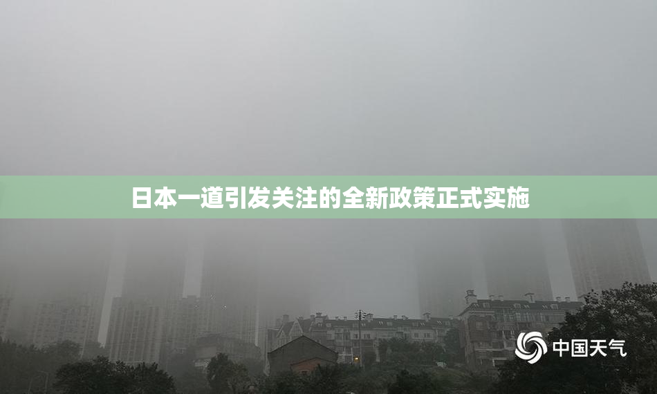 日本一道引发关注的全新政策正式实施
