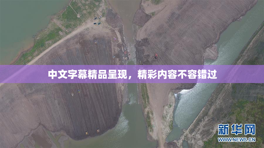 中文字幕精品呈现，精彩内容不容错过