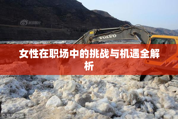 女性在职场中的挑战与机遇全解析