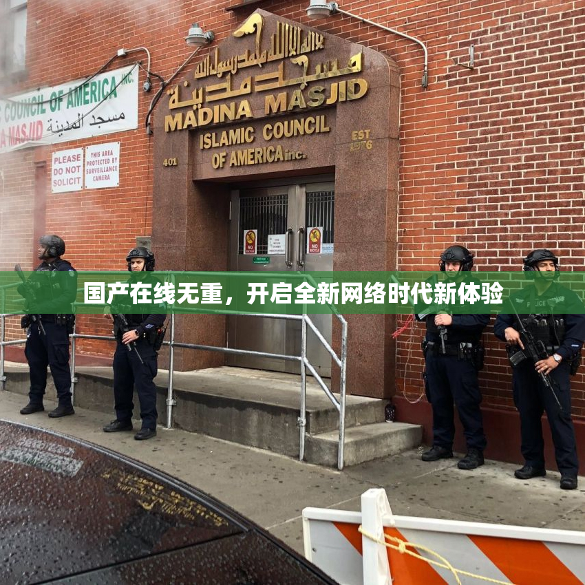国产在线无重，开启全新网络时代新体验