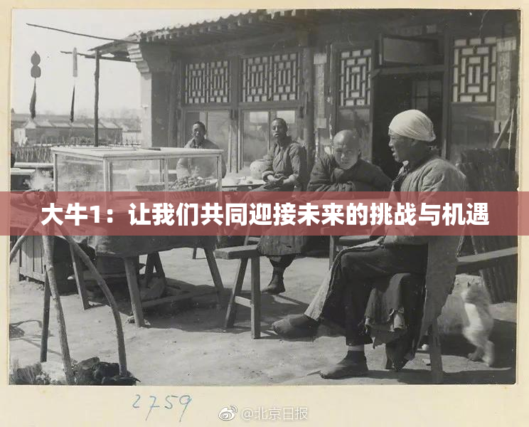 大牛1：让我们共同迎接未来的挑战与机遇