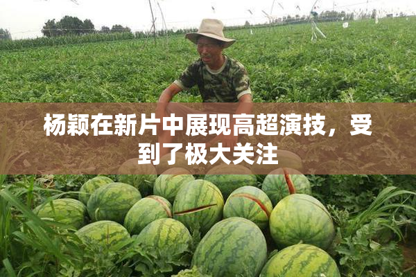 杨颖在新片中展现高超演技，受到了极大关注