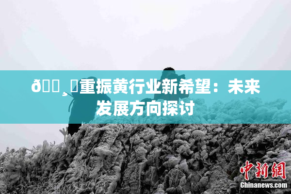 🌸‌重振黄行业新希望：未来发展方向探讨