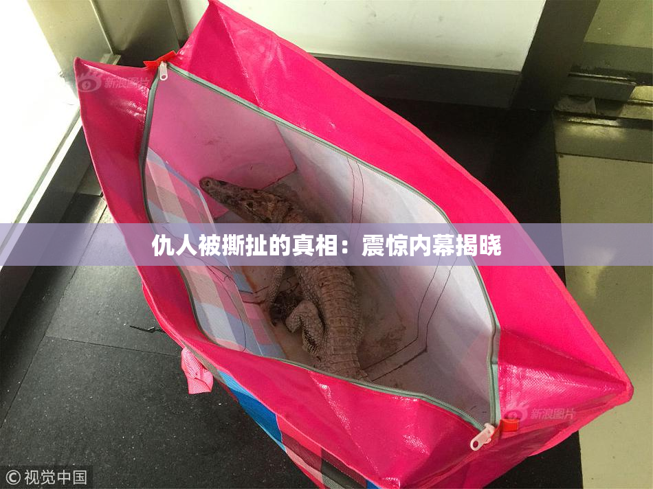 仇人被撕扯的真相：震惊内幕揭晓