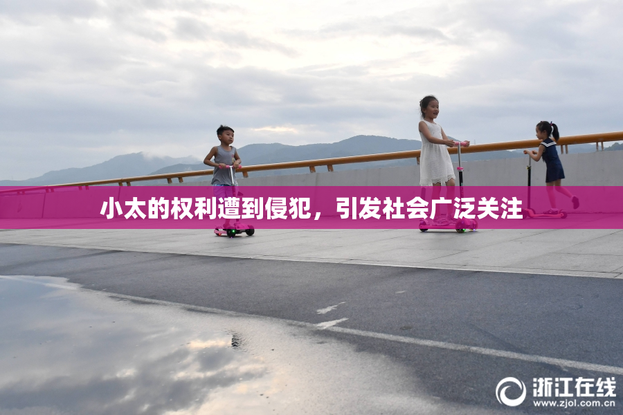 小太的权利遭到侵犯，引发社会广泛关注