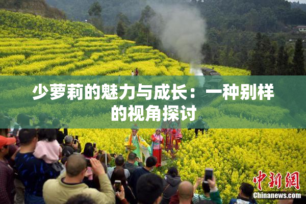 少萝莉的魅力与成长：一种别样的视角探讨