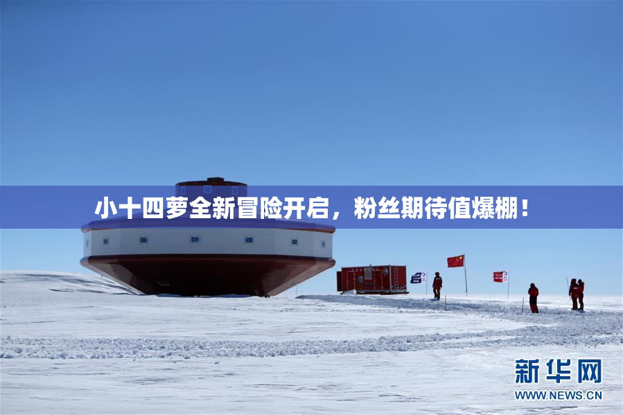 小十四萝全新冒险开启，粉丝期待值爆棚！