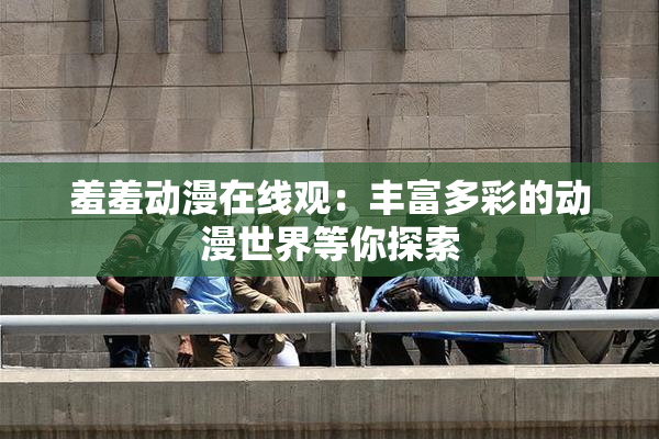 羞羞动漫在线观：丰富多彩的动漫世界等你探索