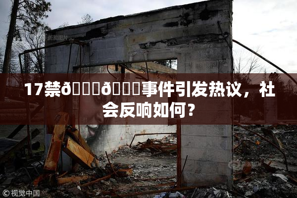 17禁🍆🍑事件引发热议，社会反响如何？
