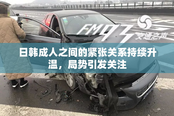 日韩成人之间的紧张关系持续升温，局势引发关注