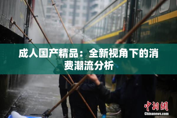 成人国产精品：全新视角下的消费潮流分析