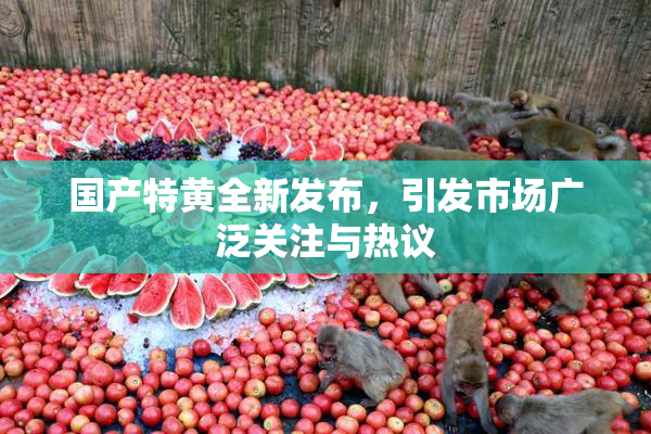 国产特黄全新发布，引发市场广泛关注与热议