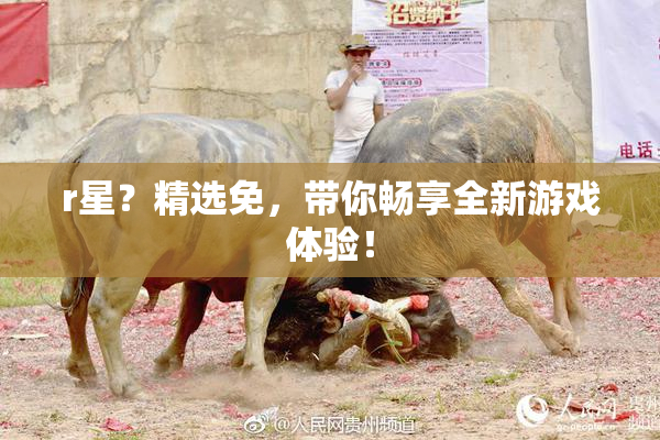 r星？精选免，带你畅享全新游戏体验！