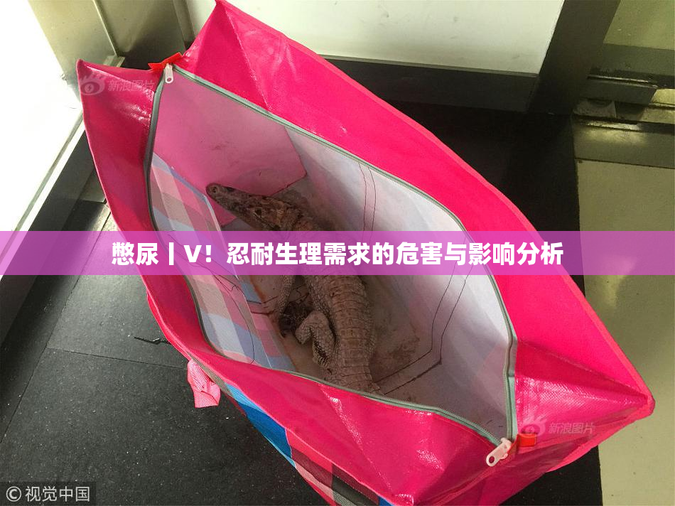 憋尿丨V！忍耐生理需求的危害与影响分析
