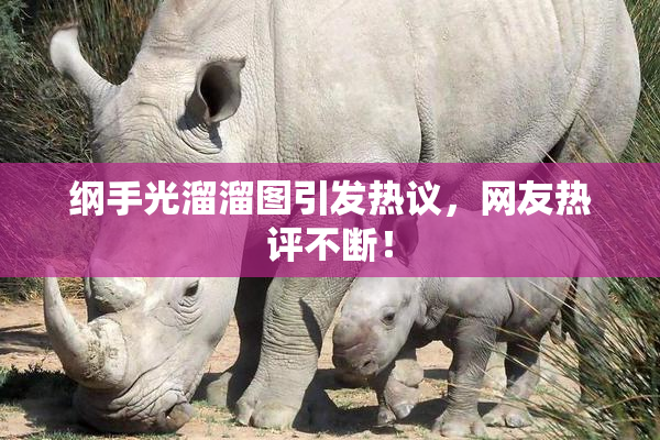纲手光溜溜图引发热议，网友热评不断！