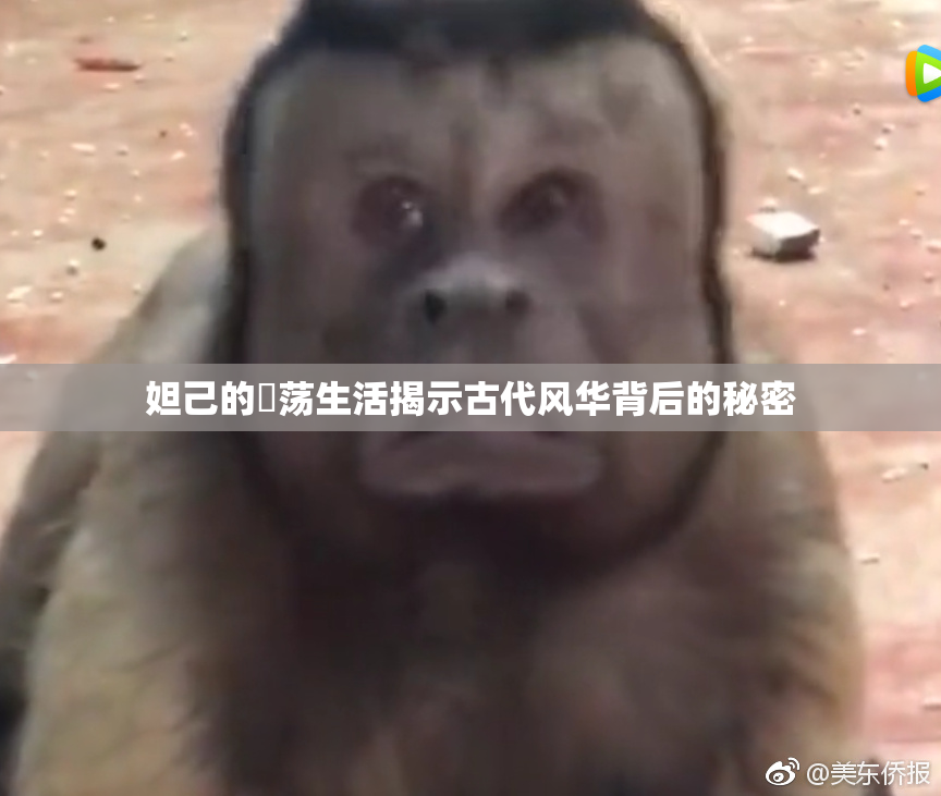 妲己的婬荡生活揭示古代风华背后的秘密