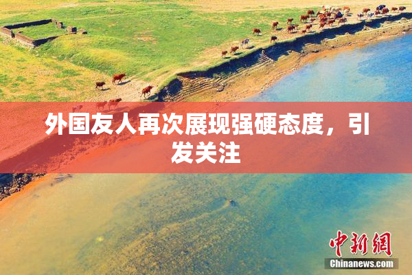 外国友人再次展现强硬态度，引发关注
