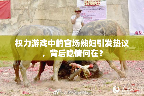 权力游戏中的官场熟妇引发热议，背后隐情何在？