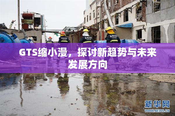 GTS缩小漫，探讨新趋势与未来发展方向