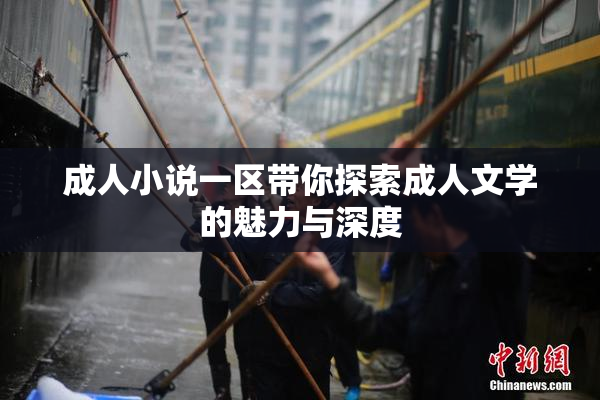 成人小说一区带你探索成人文学的魅力与深度