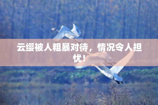 云缨被人粗暴对待，情况令人担忧！