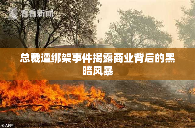 总裁遭绑架事件揭露商业背后的黑暗风暴