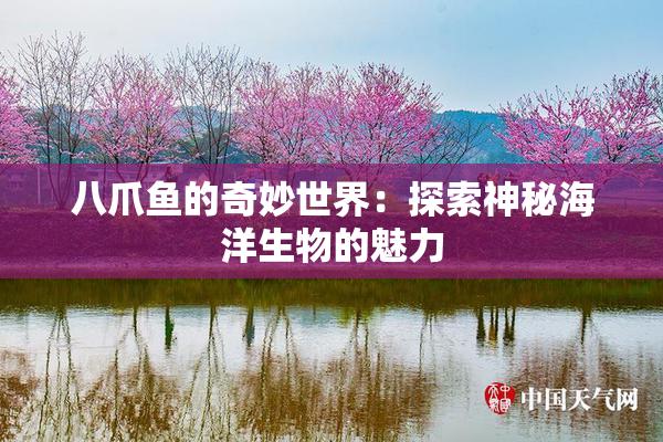 八爪鱼的奇妙世界：探索神秘海洋生物的魅力
