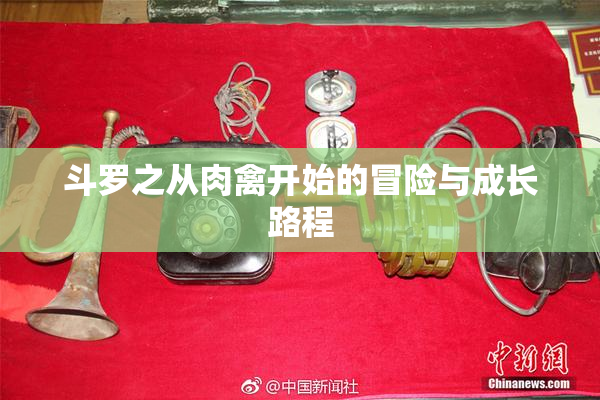 斗罗之从肉禽开始的冒险与成长路程