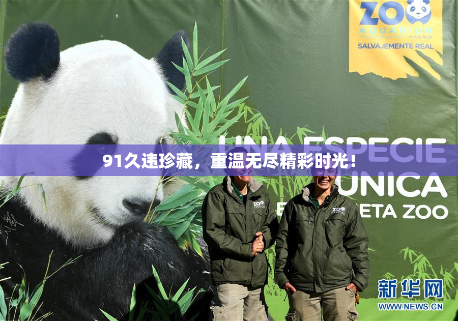 91久违珍藏，重温无尽精彩时光！