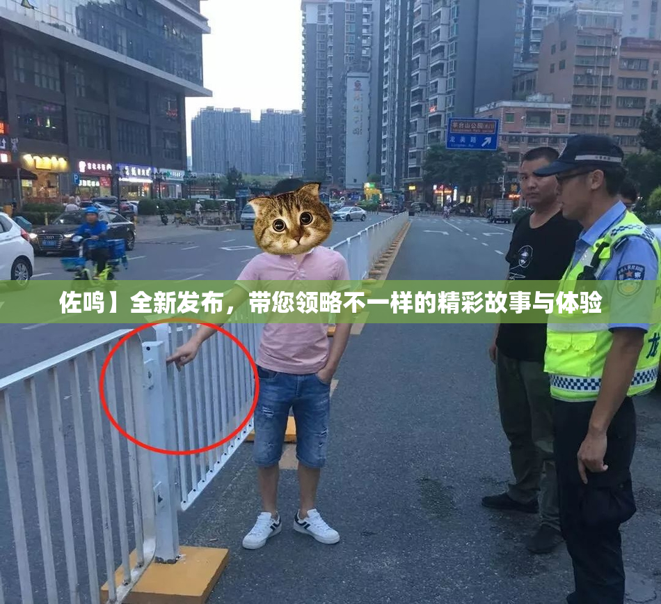佐鸣】全新发布，带您领略不一样的精彩故事与体验