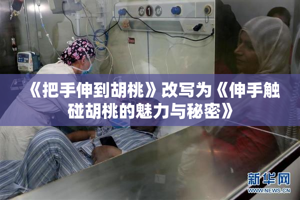 《把手伸到胡桃》改写为《伸手触碰胡桃的魅力与秘密》
