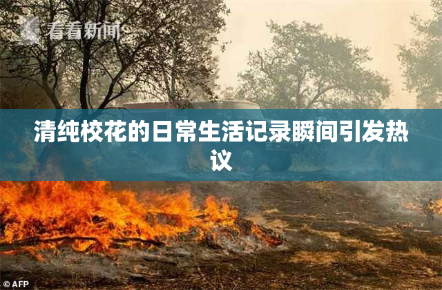 清纯校花的日常生活记录瞬间引发热议