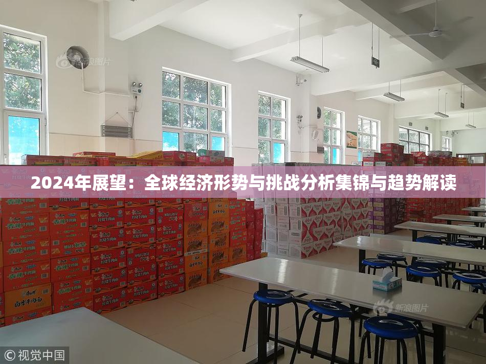 2024年展望：全球经济形势与挑战分析集锦与趋势解读